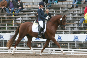 BALLACK VM v. Beckenbauer x Bennos Dream - erfolgreichstes 4-jähriges MV-Dressurpony. Foto: Wego